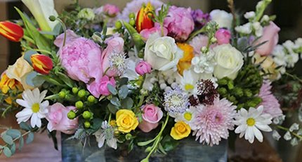 三八节：优雅绽放向阳生长，不惧时光活出漂亮